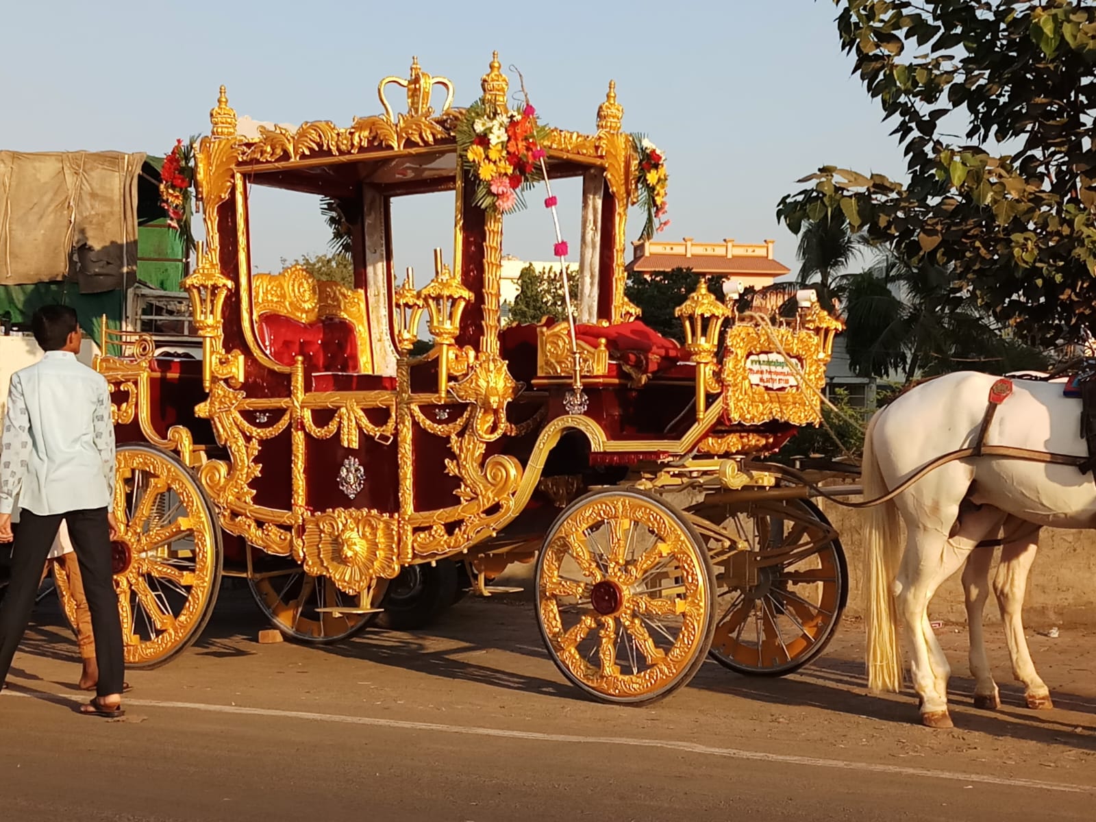 Royal Maharaja Bagi horse bagi photo 2 - Anand Gujarat